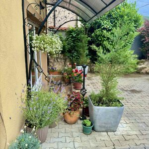 20241205_232515 Dom za stare Odiseja Zemun